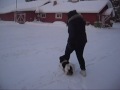 Morris fritt följ.wmv