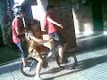 3 en una bmx........