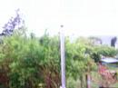 my cb homebase antenna