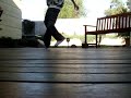 C-walk vid again