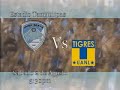 jaiba brava tigres