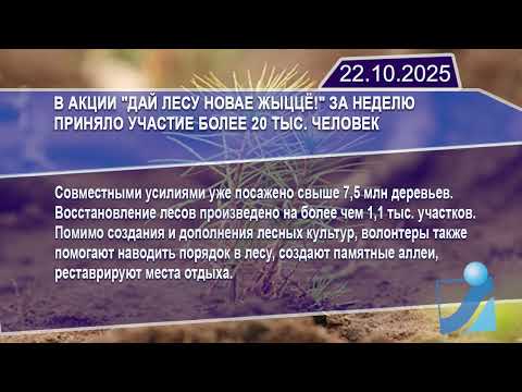 Новостная лента Телеканала Интекс 22.10.25.