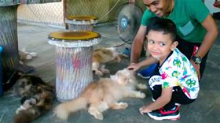 Jgash at Ostrich Show Farm