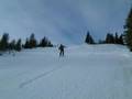 Skiing (Carving)