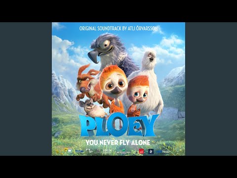 Fly Alone