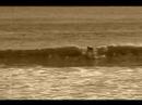 Surf Washington State