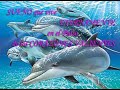 invitacion a iniciacion