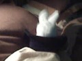 Weston "Napping" | Music Videos,music-videos free online video