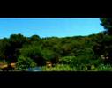 cortometraje-punto-muerto.html