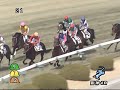 2008年3月2日 阪神4R 障害未勝利 ウォータートリトン