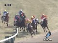 2008年3月2日 阪神4R 障害未勝利 ウォータートリトン