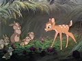 Spastic Ink: A Wild Hare - Eating Greens