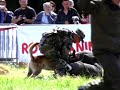 festival-merignac-1415-juin2008.html