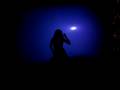 Believe in me Remix - Hot Sexy Latin Dance- Artist Beautiful Michelle Barone