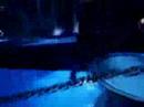 V�deo Ratatouille - Wii - Nightmare