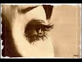 music by eric satie,performed by reinbert de leeuw/compilation by frenz