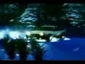 Gamble Rumble - Initial D