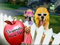 Animal planet  videos divertidos