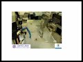 video lsp.mov