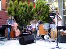 Festa de Er�