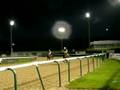 Grand Palace heads to post at Wolverhampton