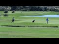 Golf in Quinta do Lago