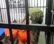 Hidden Detainees:Re-enacting the reality