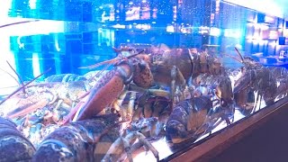 Burger and Lobster