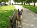 videos de Thalia posotions in the park.