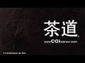 CGI trainer - 1er scene service chinois tout en nuance _making of.wmv