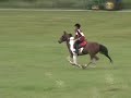 Hoof Prints