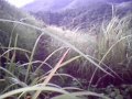 youbaob trekkers &amp; maountaineering club  mount manabu sto. t