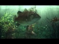 Effortlessly (video by Ricardo Moriello)