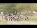 Biblioburro- The donkey library