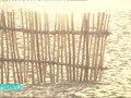 Welcome to Miramar Beach