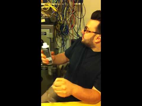 how to harvest coyote urine
