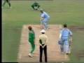 videos de Donald Vs Gooch