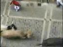 Running of the Bulls - Pamplona, Spain