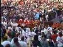 Running of the Bulls - Pamplona, Spain
