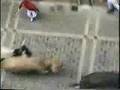 Pamplona y la corrida de toros