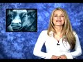 QualityStocks Daily Video 11/09/2007 QualityStocks Daily Video 11/09/2007