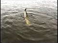 Fishingtrip Ierland 1995 Fishingtrip Ierland 1995