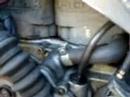 Decorite Harris Rotax 256