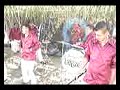 Sal Con Limon - Banda Pi�era