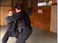 Genbukan Ninpo Taijutsu