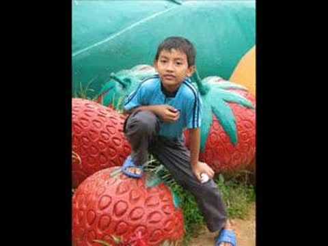 Gambar Kenangan Di Cameron Highland