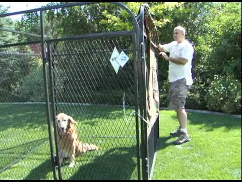 how to provide shade for dogs