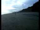 MURIWAI?BEACH???? MURIWAI?BEACH????