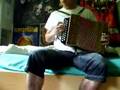 accordéon diatonique boite à rythme