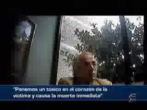 Imagen de previsualización de YouTube